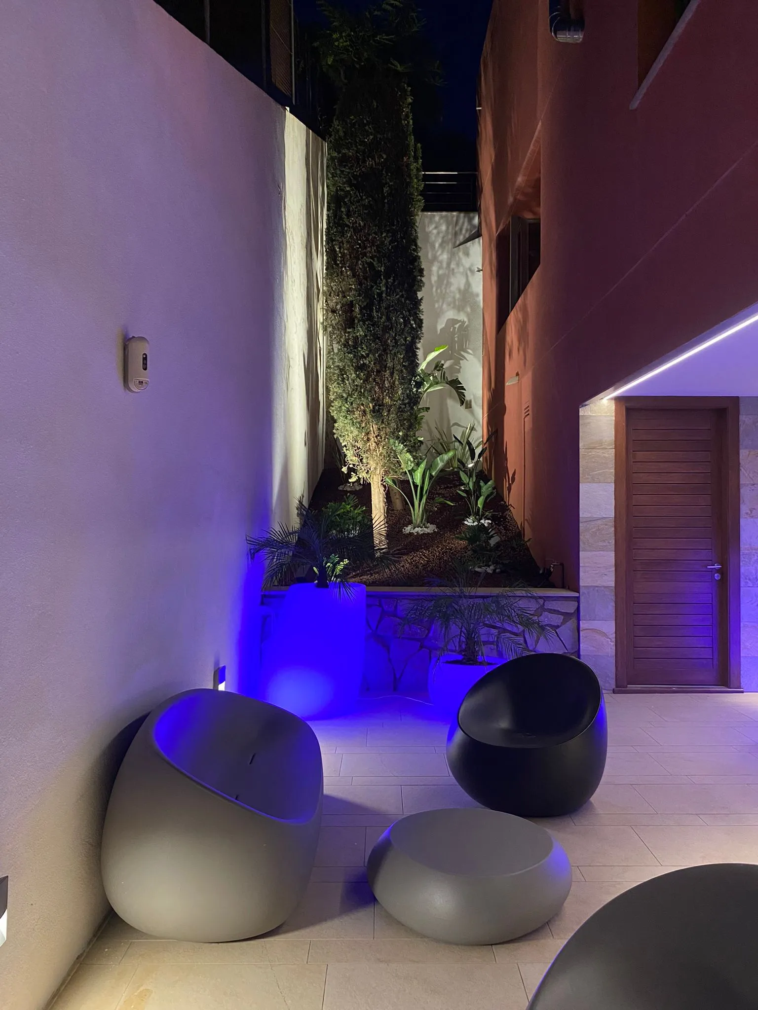 Patio interior con proyectores de realce sobre la vegetación